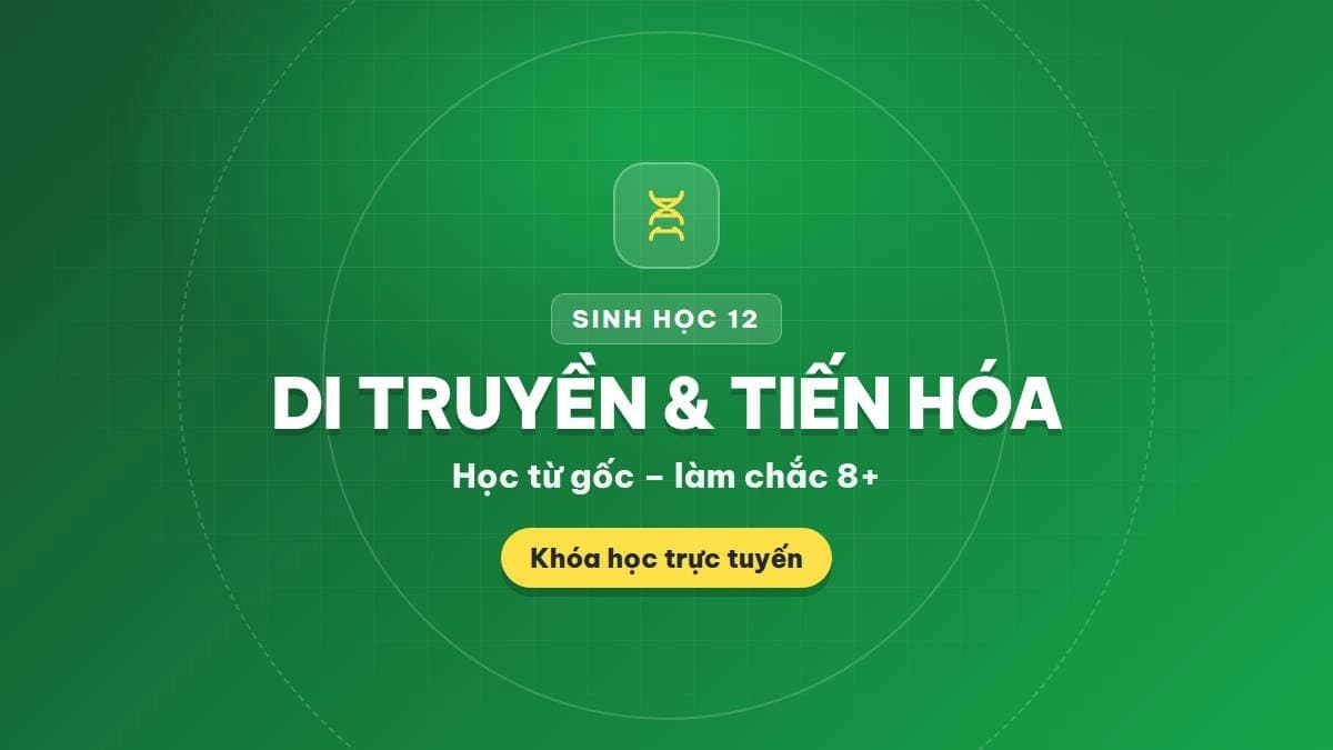 Sinh Học 12 – Di Truyền & Tiến Hóa Từ Gốc